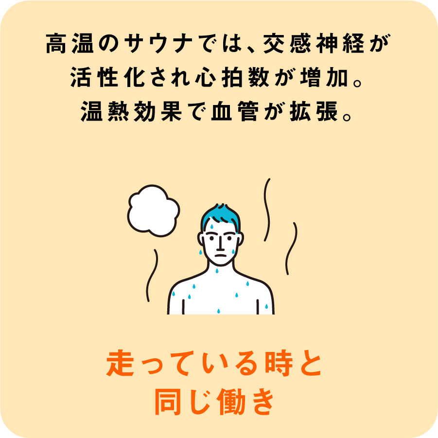 高温のサウナでは、交感神経が活性化され心拍数が増加。温熱効果で血管が拡張。走っている時と同じ働き